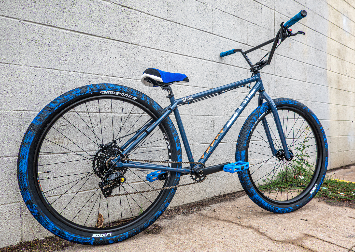 Custom Wheelie Bike Build