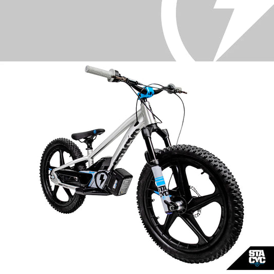 Stacyc 20" E Drive Team Edition